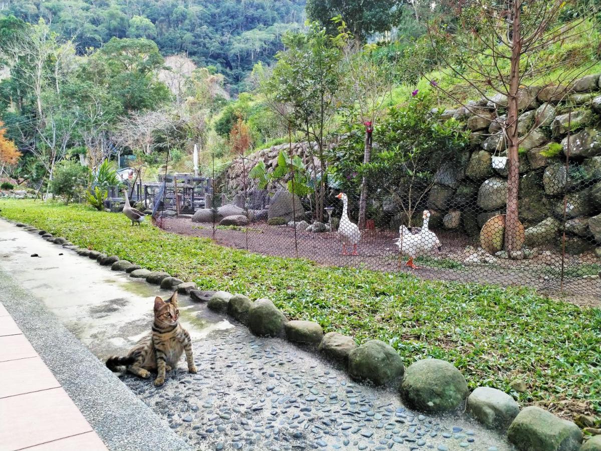 Yanzitao Pottery Coffee B&B หนานจวง ห้อง รูปภาพ